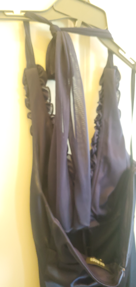 Sapphire Evening Gown image indicator(8)