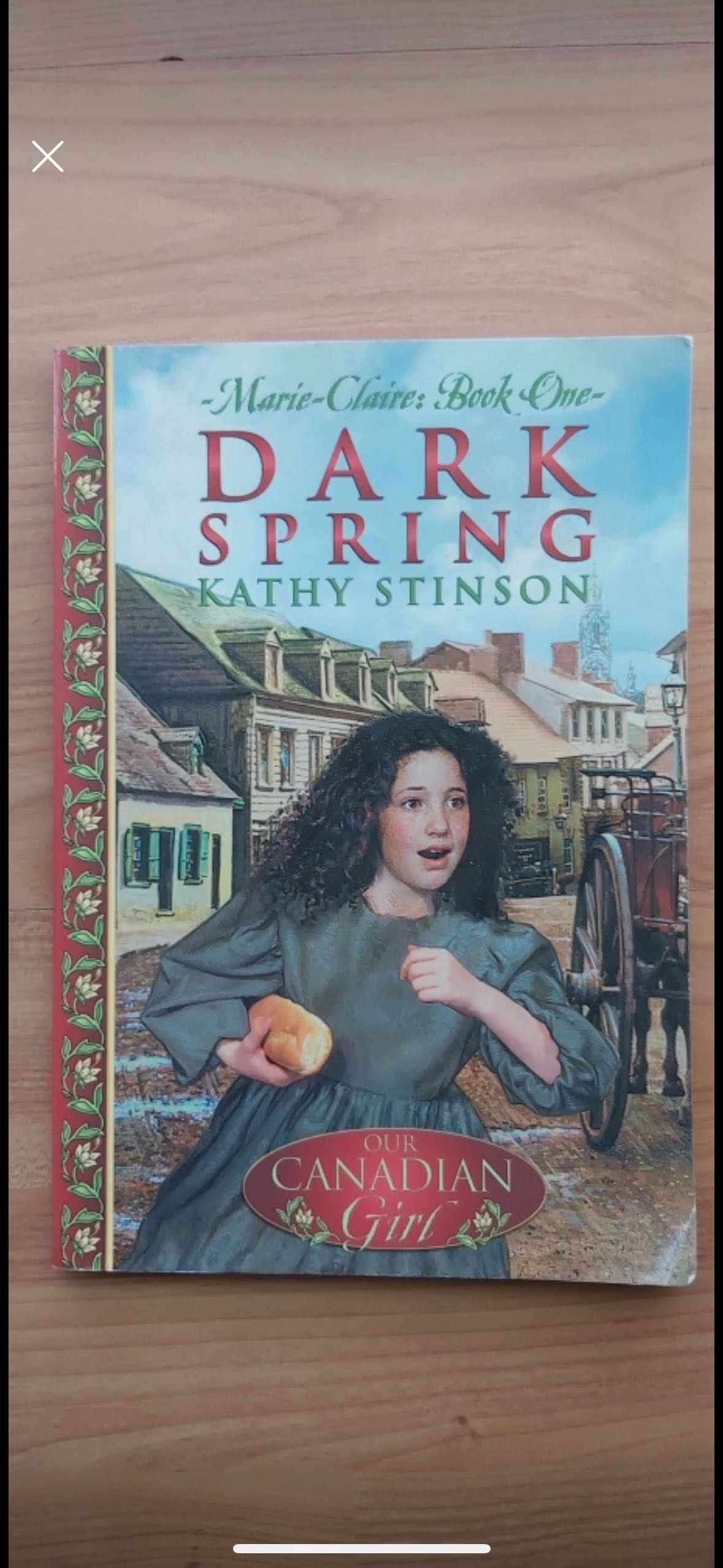 Dark spring children’s book 🏈 thumbnail