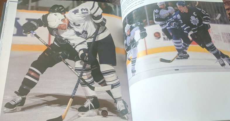 ONE HUNDRED YEARS OF HOCKEY image indicator(5)