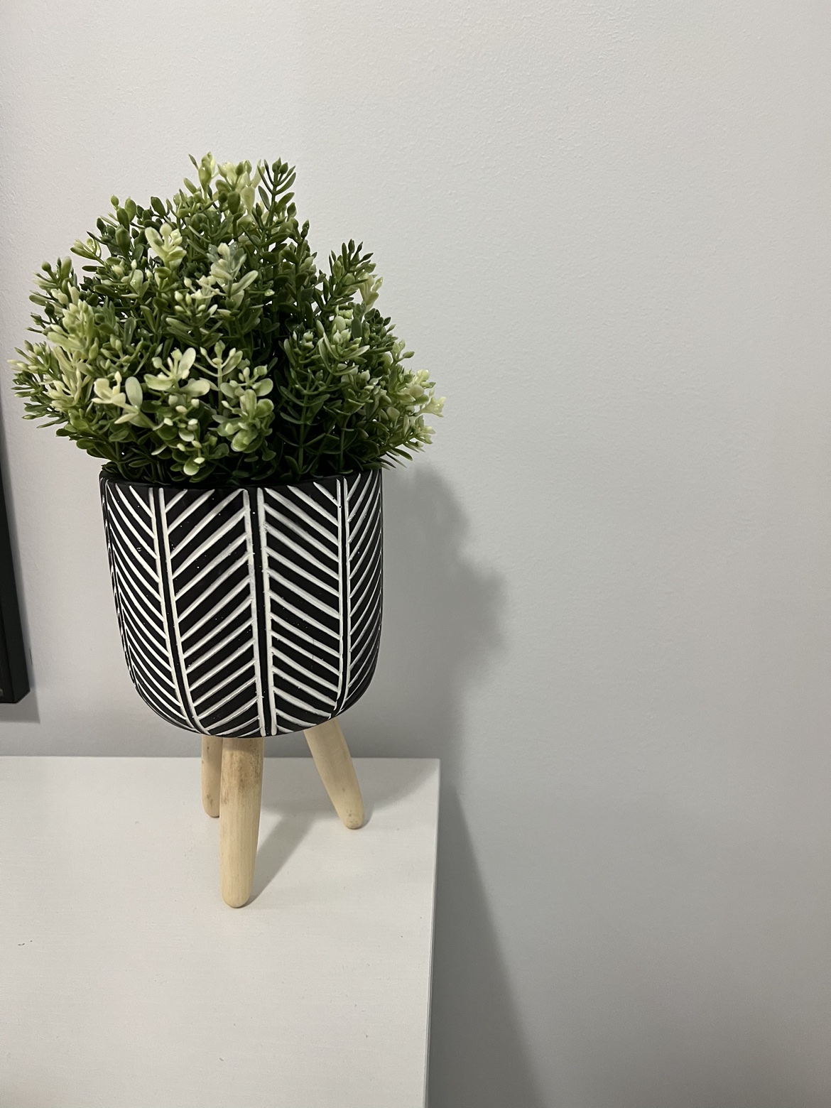 plant pot/ plant stand with plant - photo 3