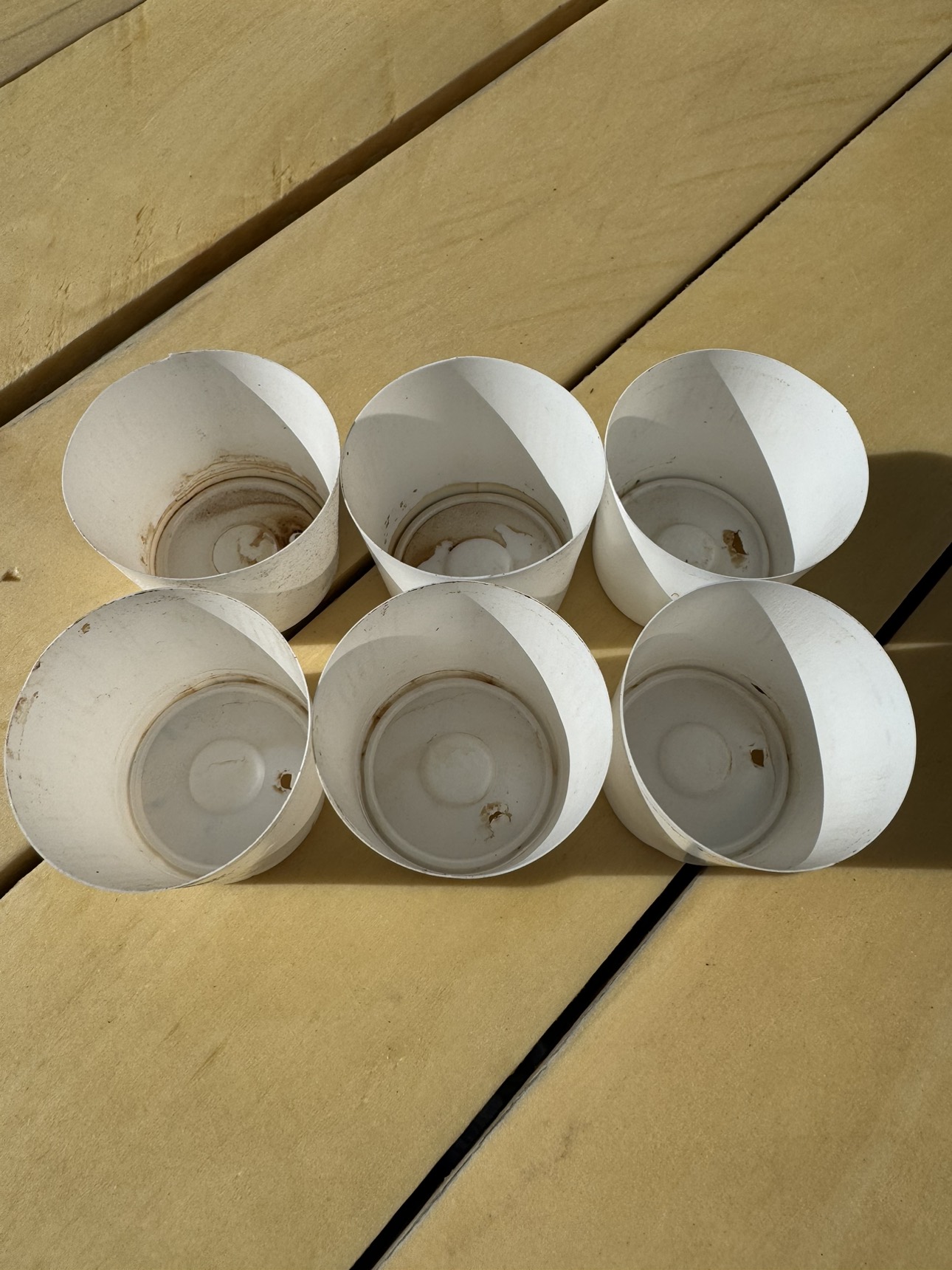 🌱 Plant/Seed starters - recycled K-cups #freecycle image indicator(4)