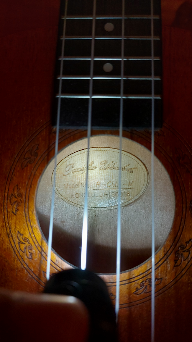 Ukelele - photo 4
