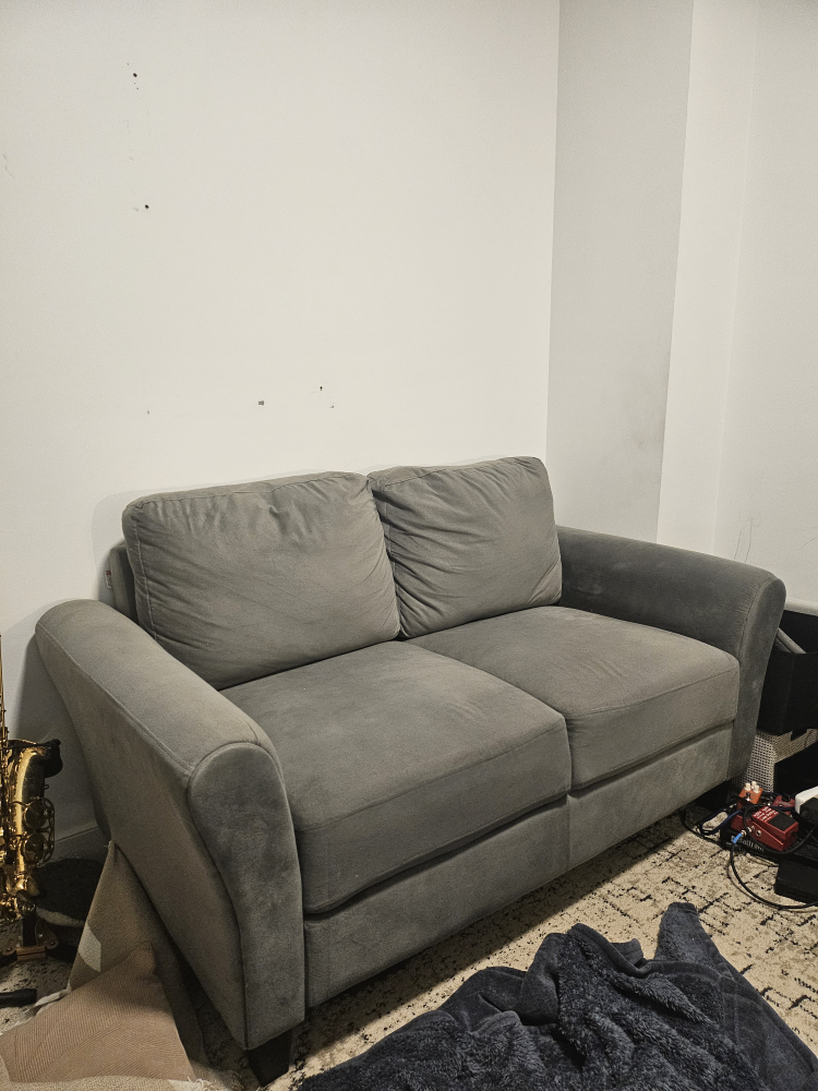 Grey Loveseat #freecycle