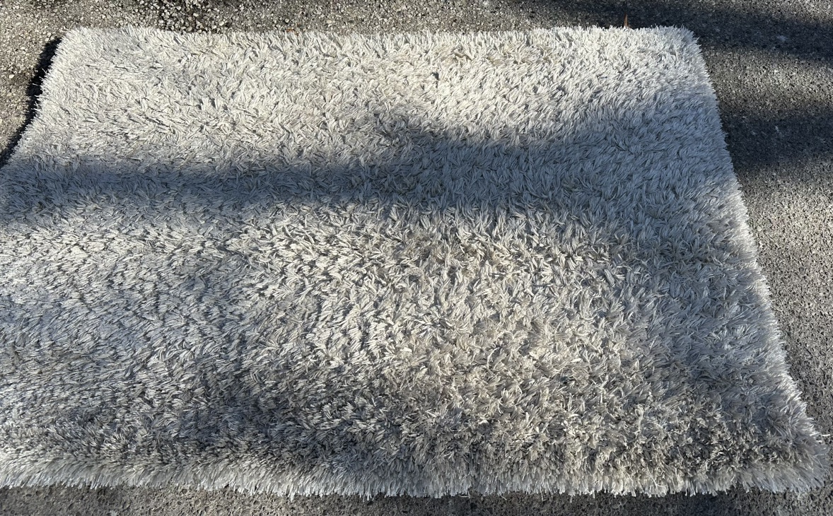 White Area Rug thumbnail