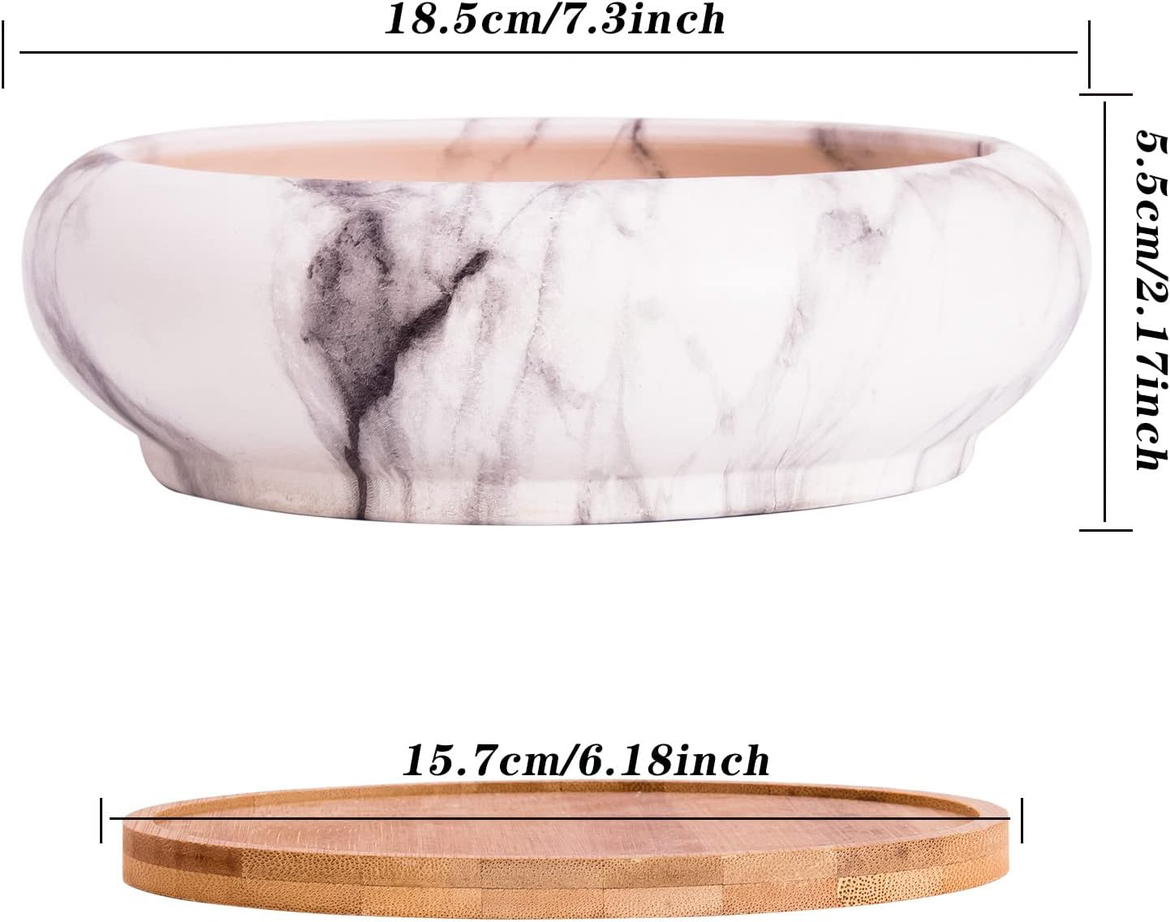 Ceramic succulent/bonsai pot - photo 3