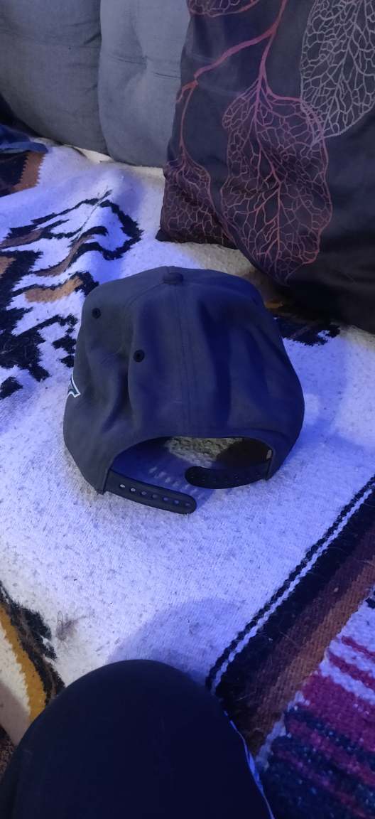 Toronto Blue Jays Hat image indicator(3)