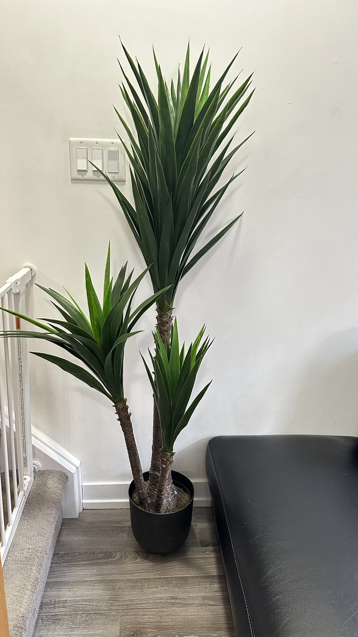 Artificial Plant from Structube