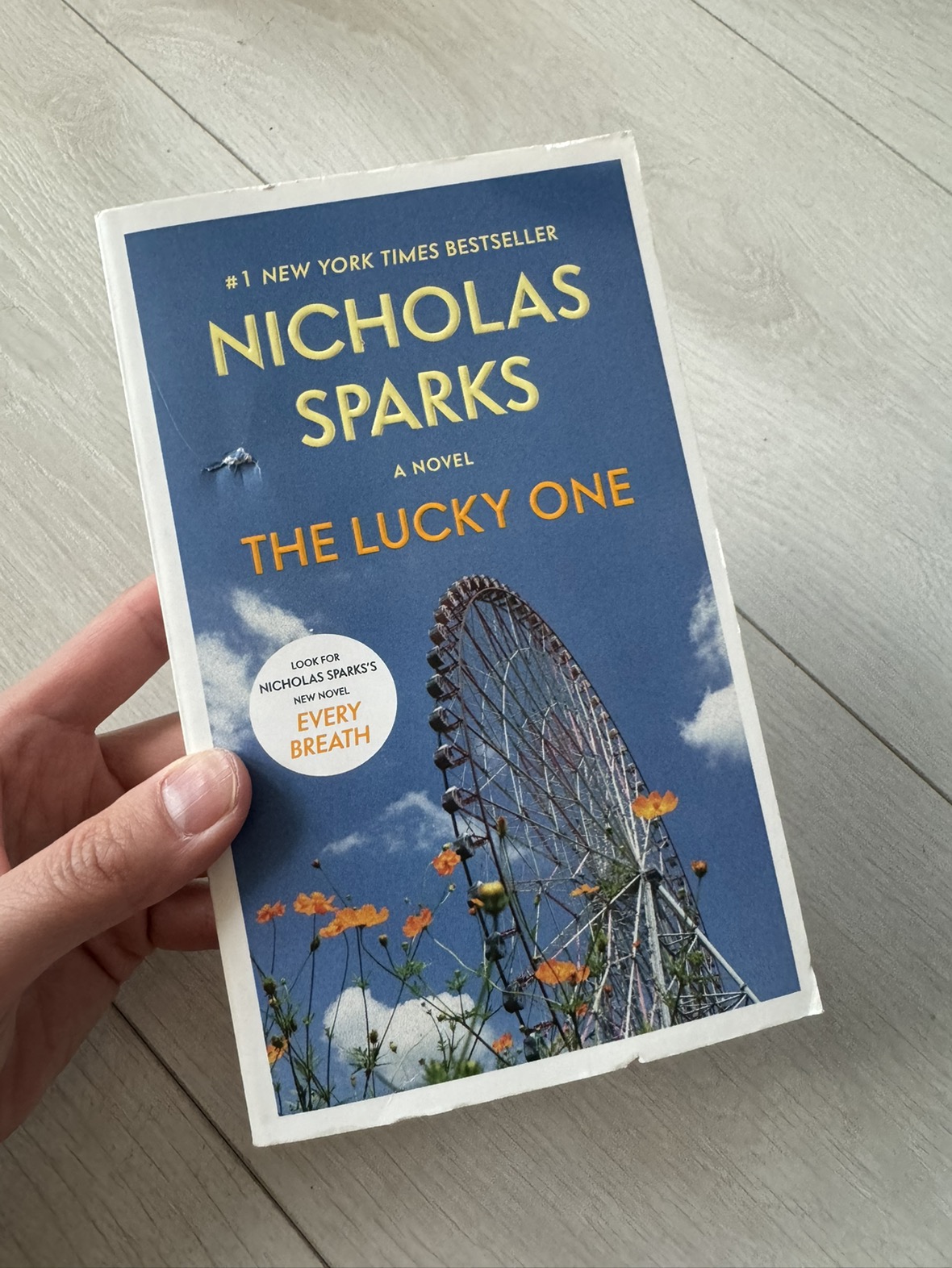 The Lucky One by Nicholas Sparks thumbnail