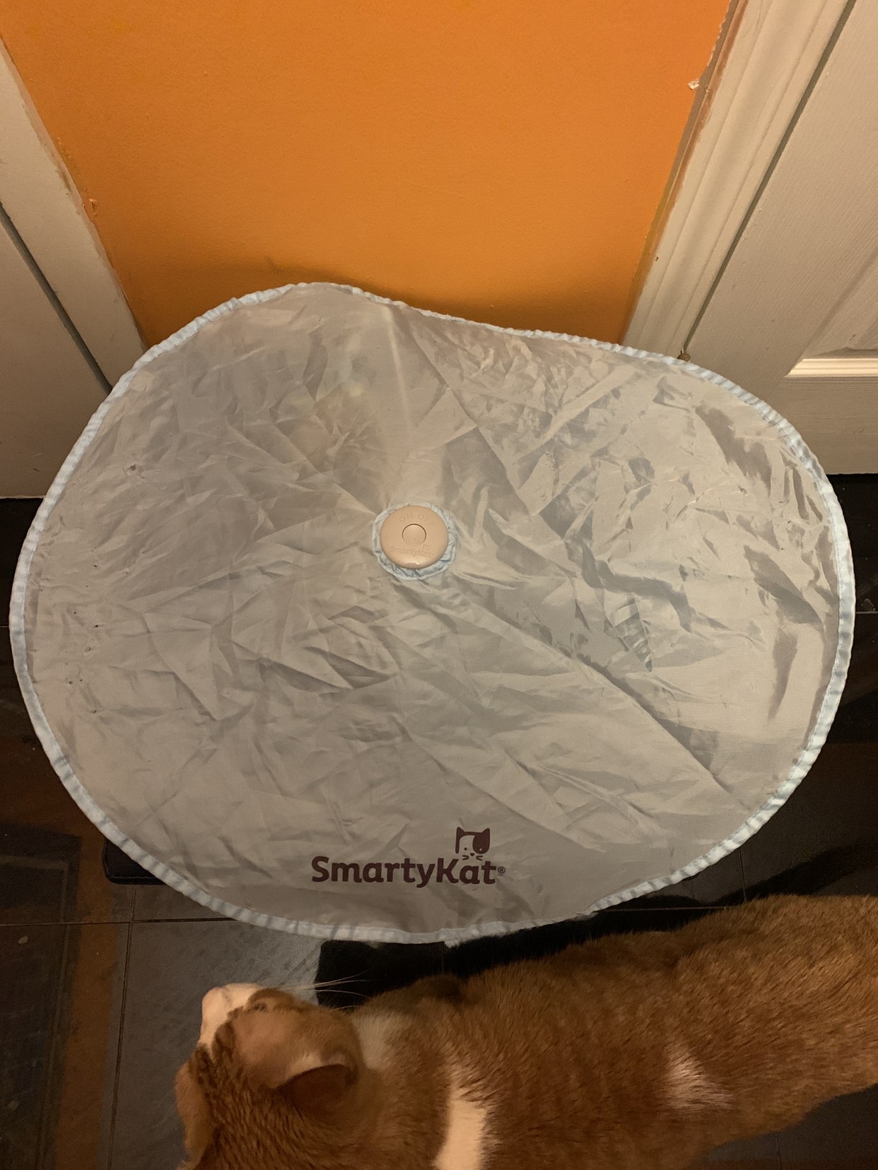 Smarty Cat motorized Cat toy - photo 2