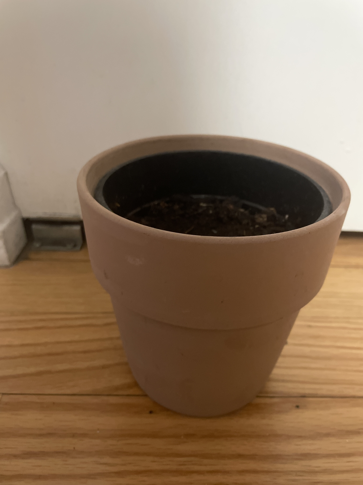 Free pot, with plastic liner and with soil inside
