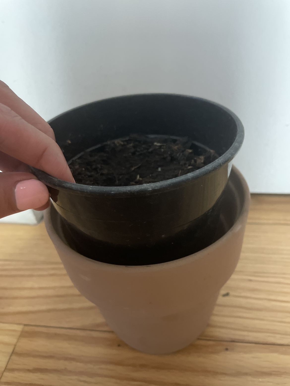 Free pot, with plastic liner and with soil inside - photo 2