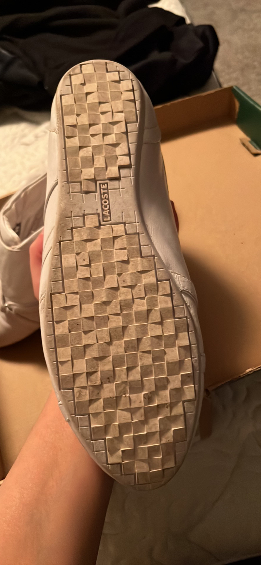 Lacost shoes image indicator(2)