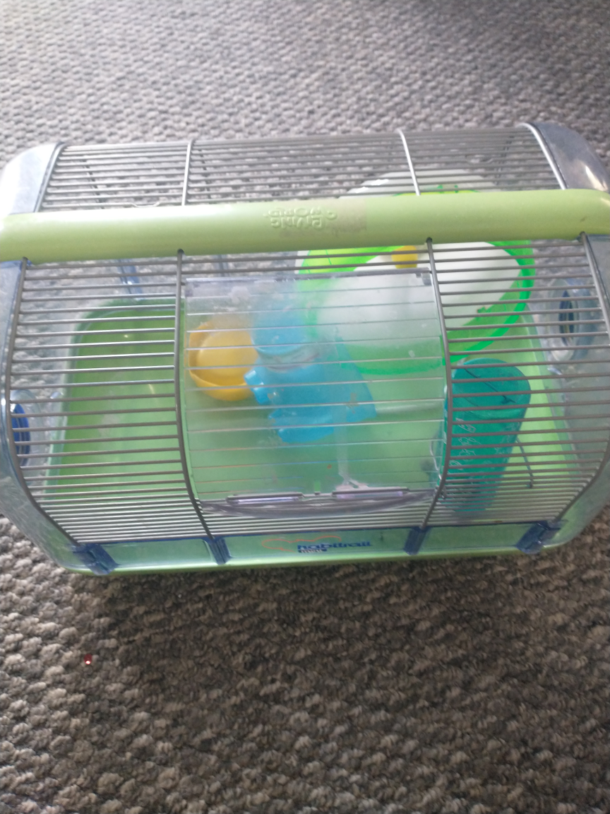 hamster cage