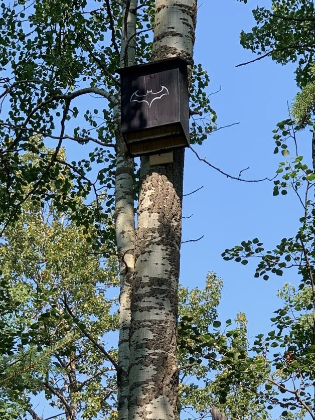 ⭐SALE⭐ Two-Chamber Bat House | Cozy 🦇 Retreat image indicator(2)