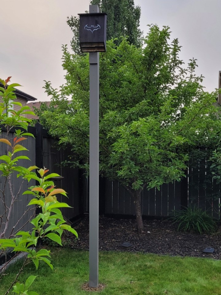 ⭐SALE⭐ Two-Chamber Bat House | Cozy 🦇 Retreat image indicator(3)