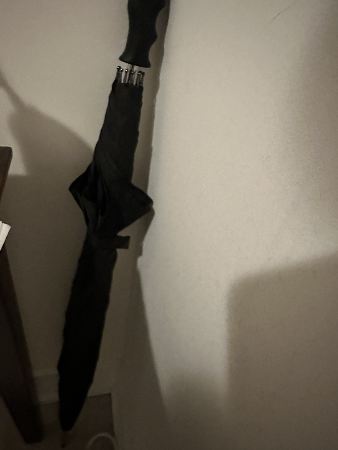 Umbrella