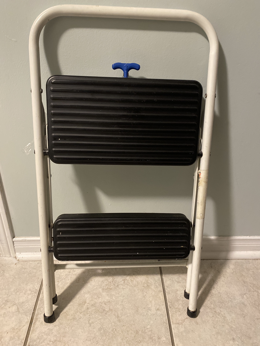 Stepping ladder