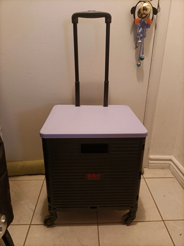 Foldable Shopping Cart