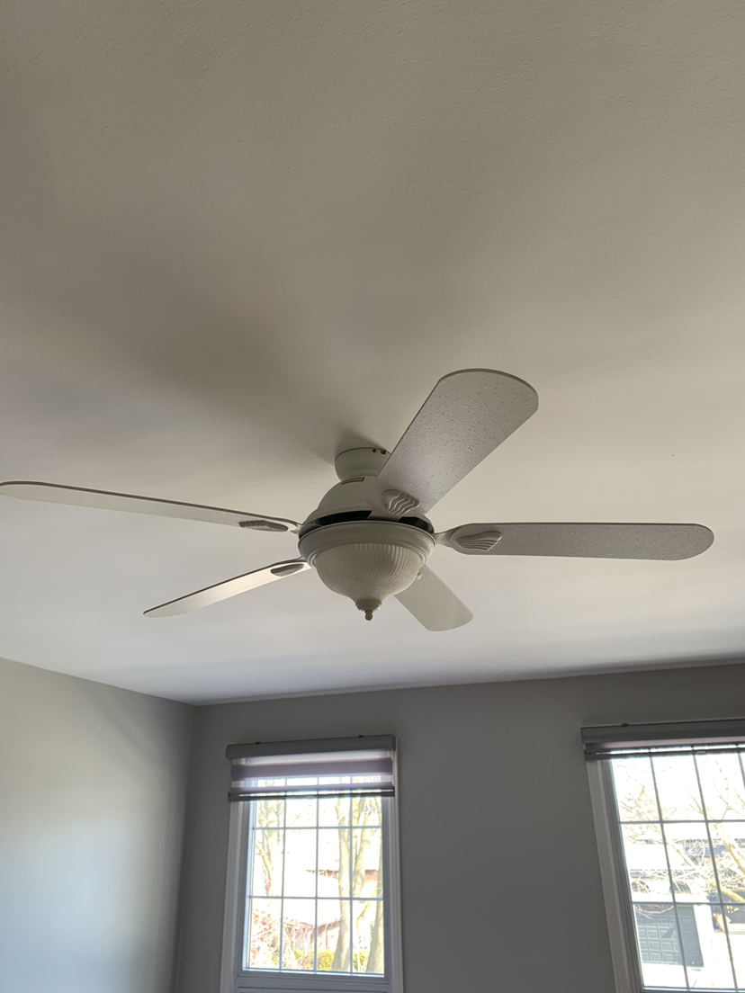 Fan/light
