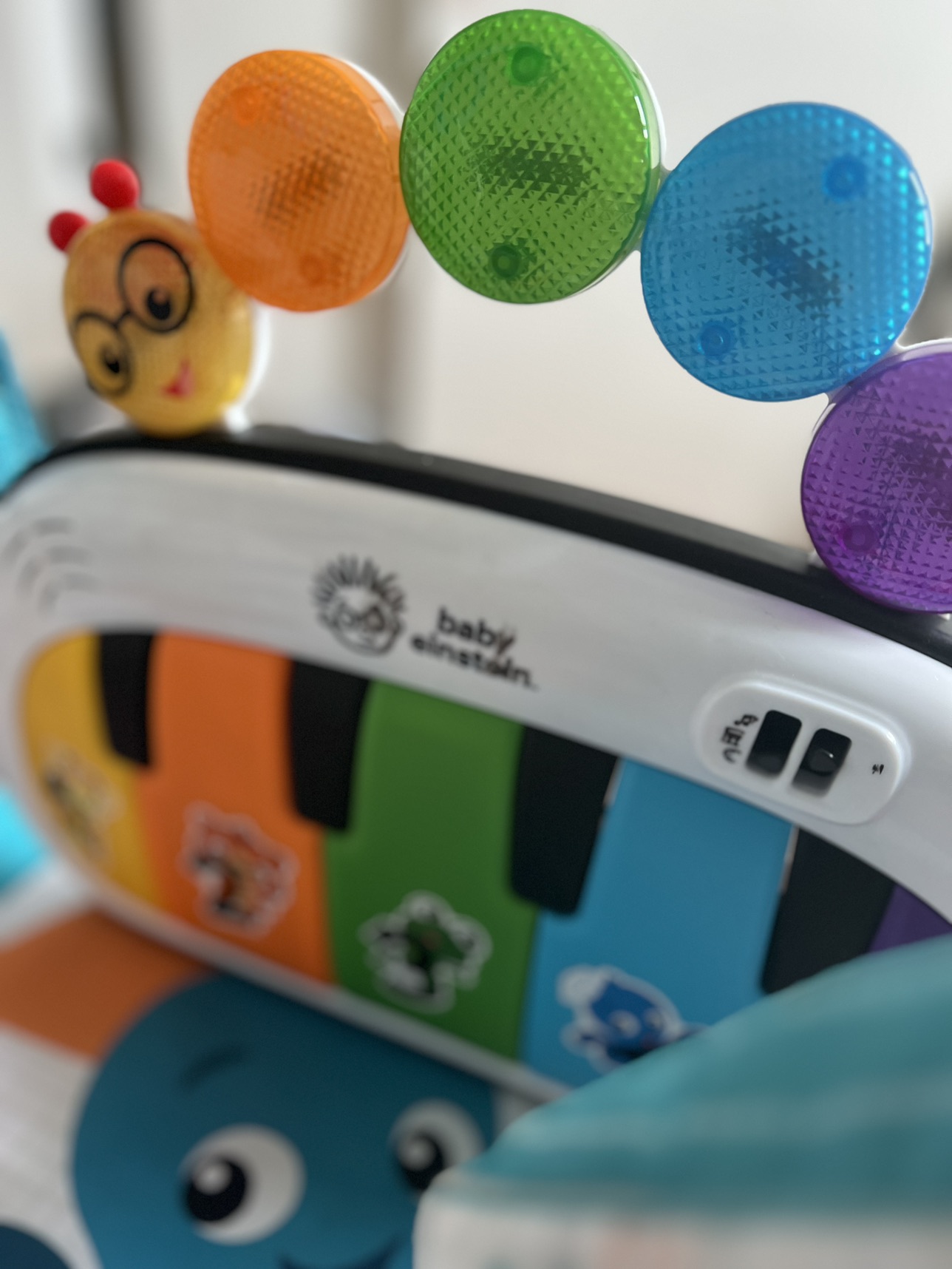 Baby Einstein Play Mat - photo 3
