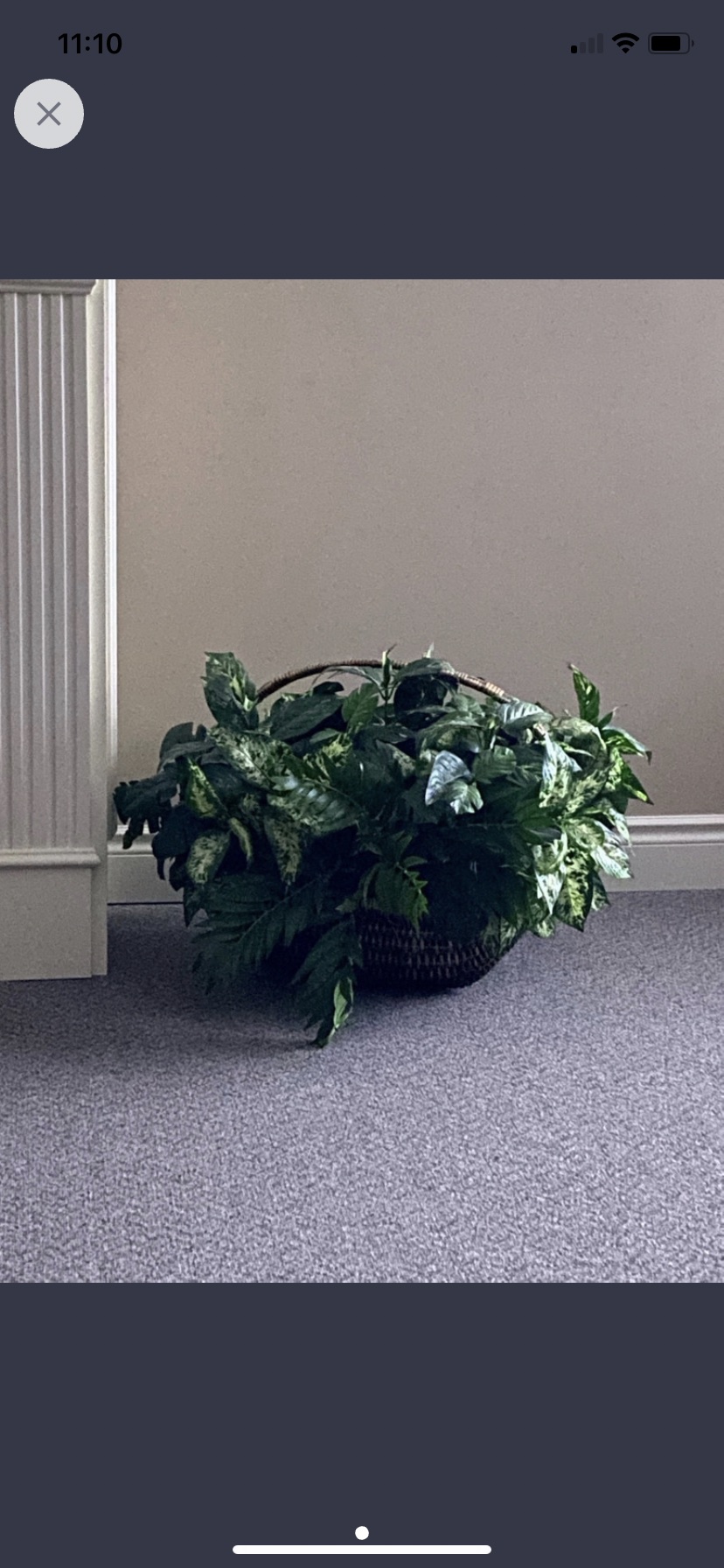 Large fake plant