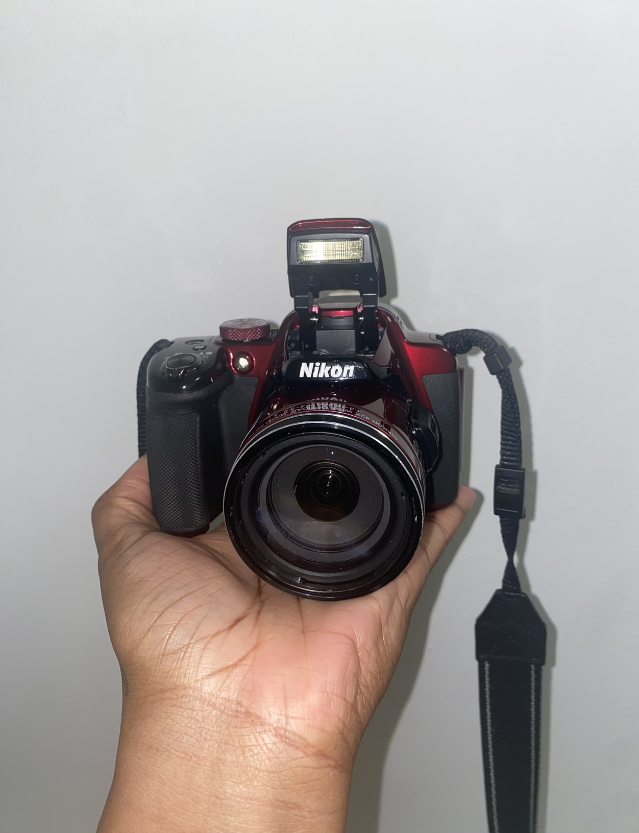 Nikon COOLPIX P520 Camera