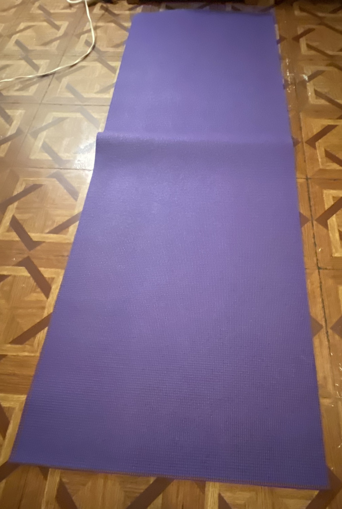 Yoga mat -  #freecycle image indicator(2)