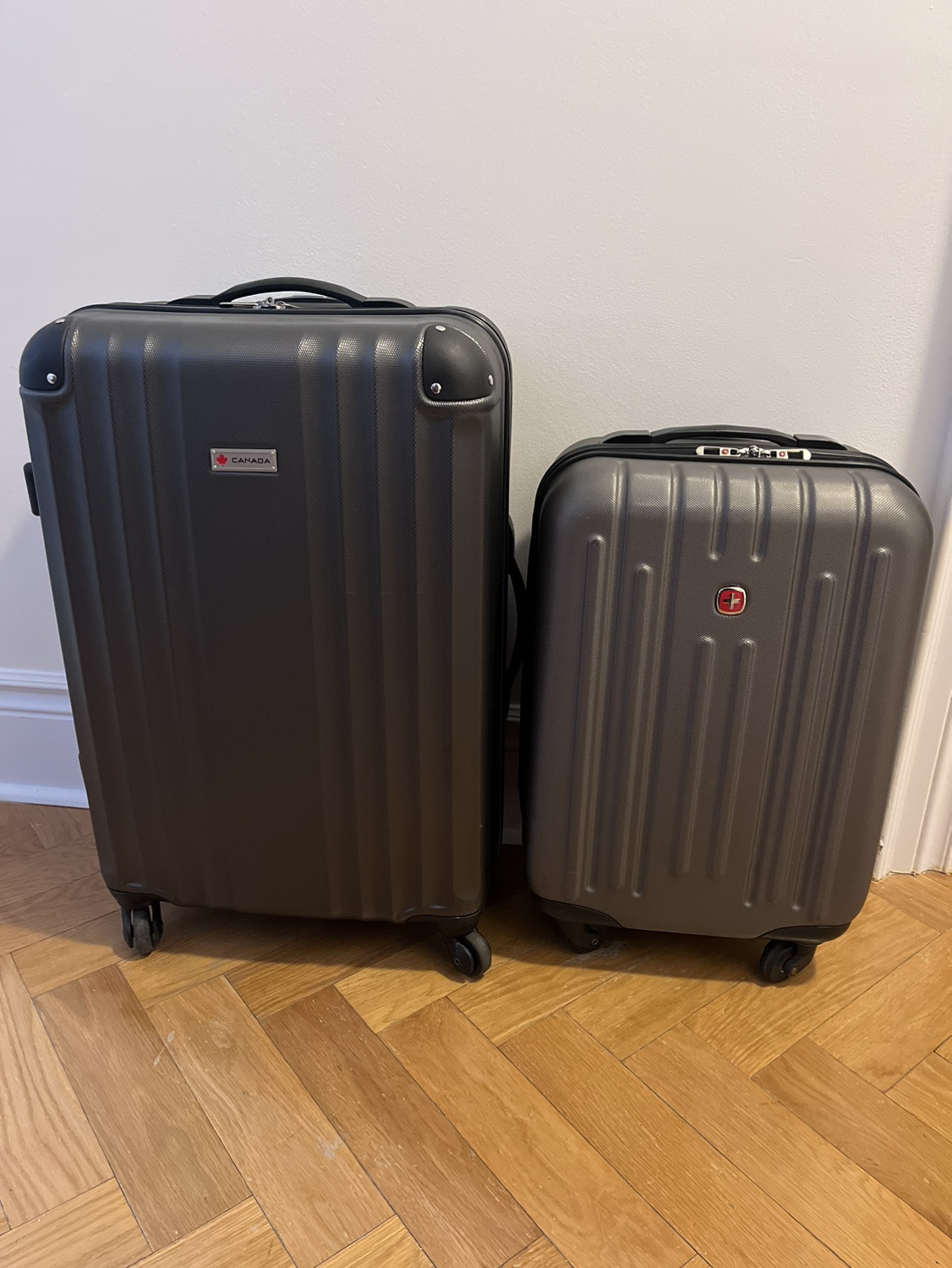 Carryon and Medium Suitcase