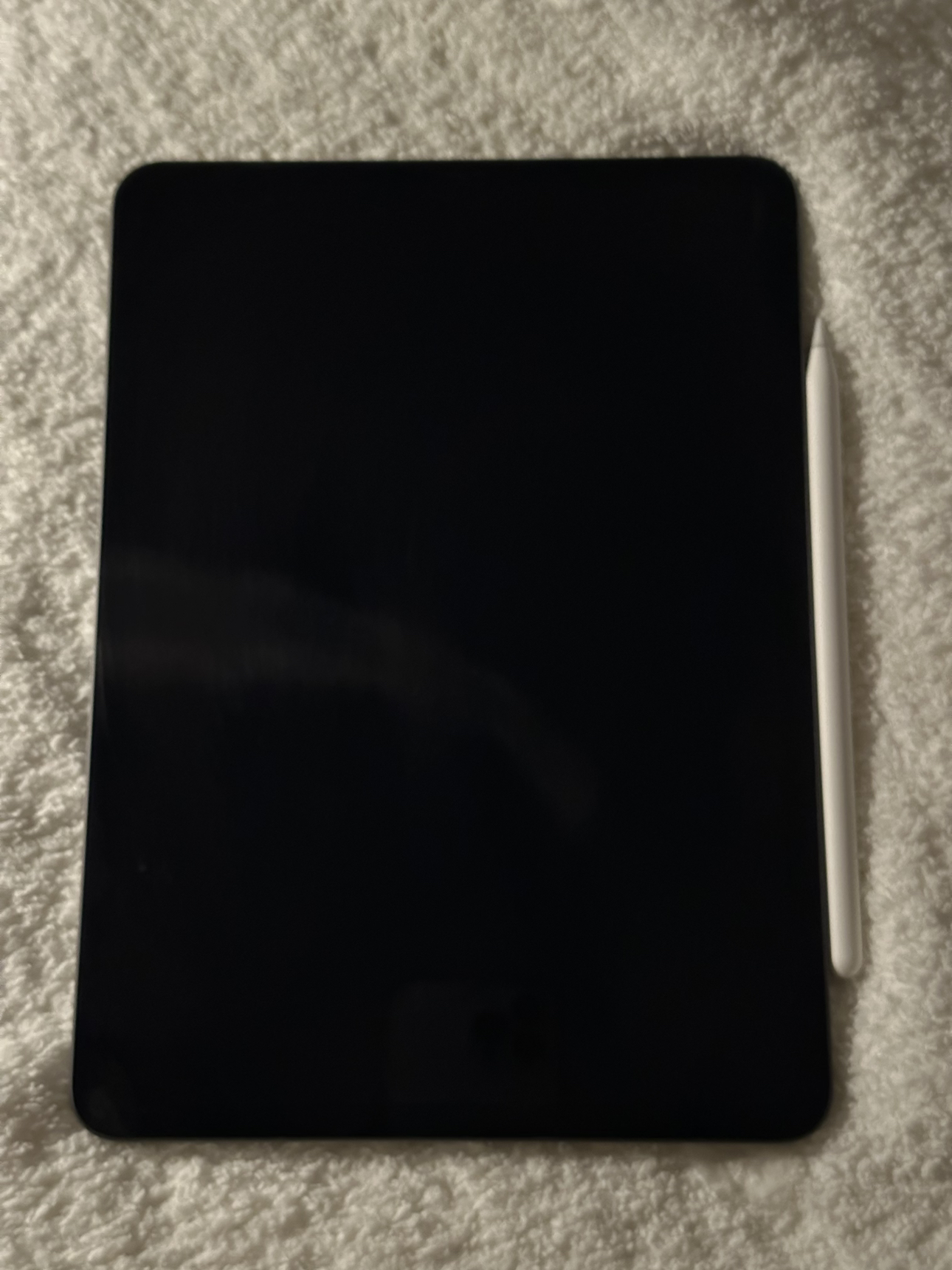 iPad Pro + Apple Pencil 265GB image indicator(4)