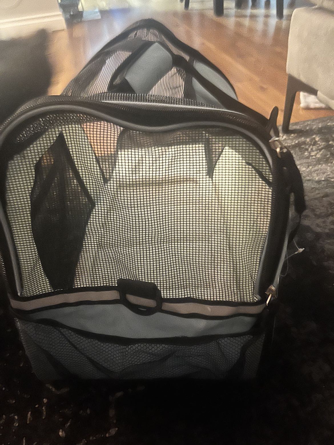 Brand new Pet carrier image indicator(2)