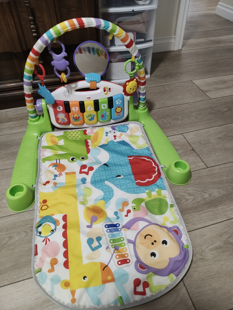 Fisher Price play mat