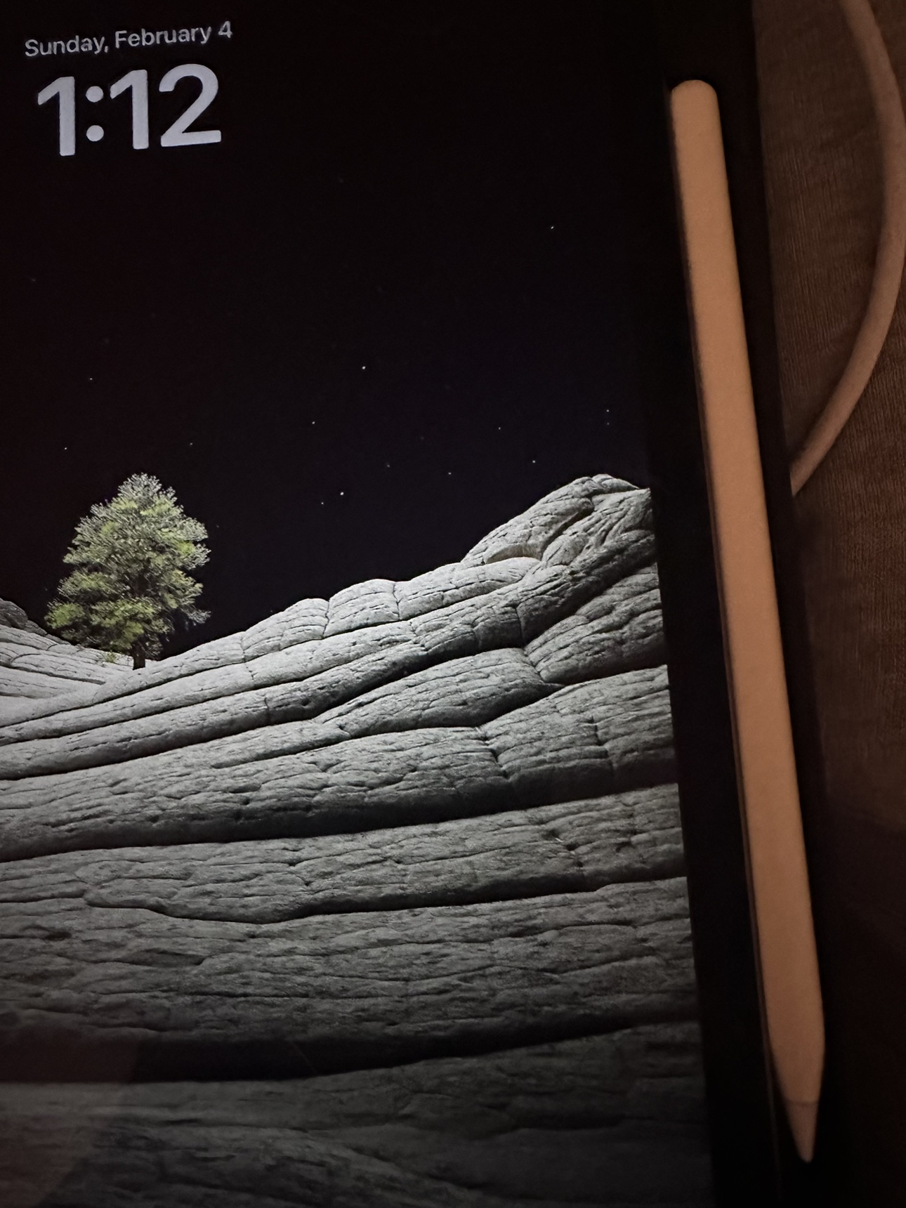 iPad Pro + Apple Pencil 265GB image indicator(9)