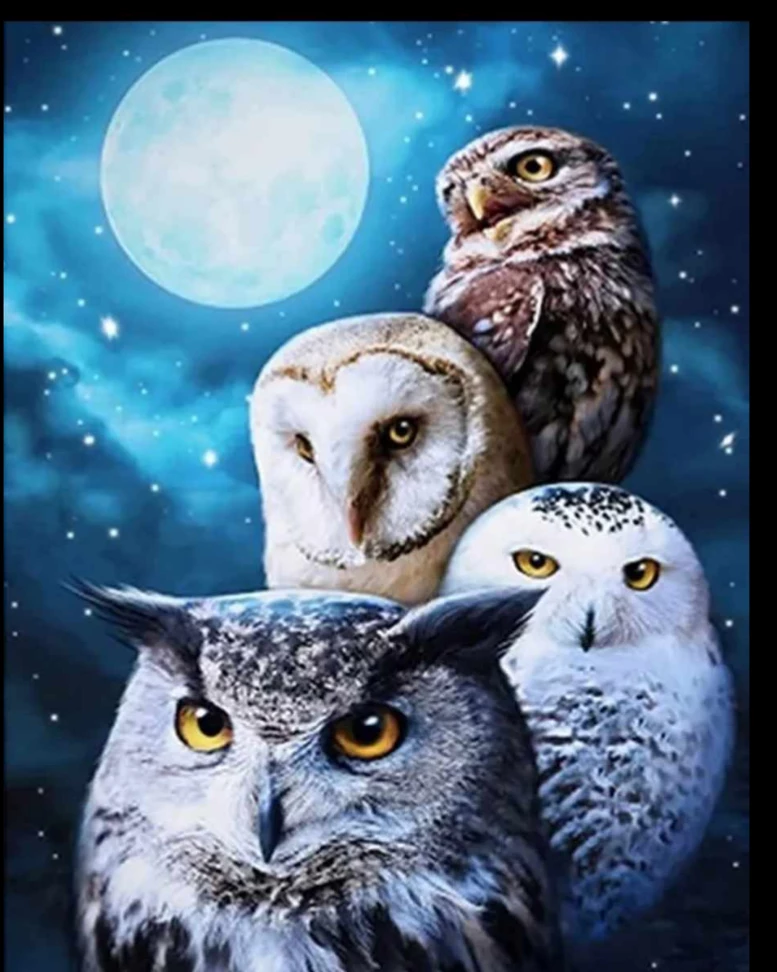 owl diamond Art 🦉💎✍️