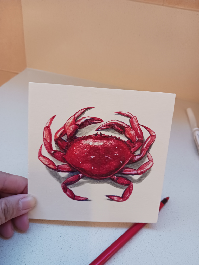 Crab sketch $50 image indicator(2)