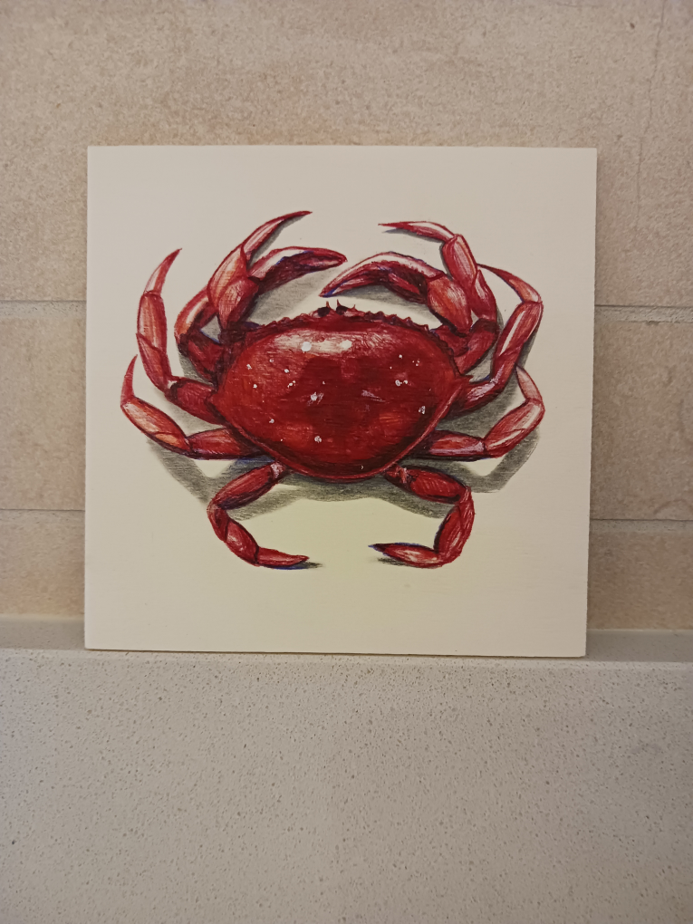 Crab sketch $50 image indicator(3)