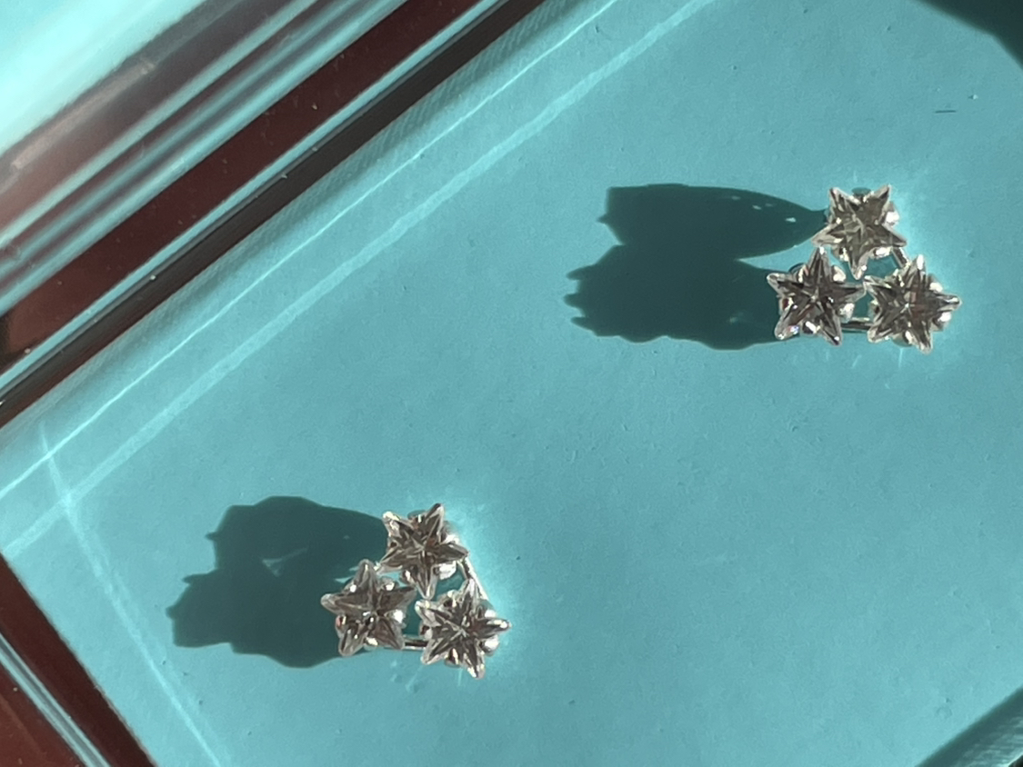 Silver earrings image indicator(2)