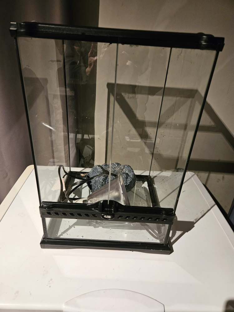 reptile terrarium - photo 2