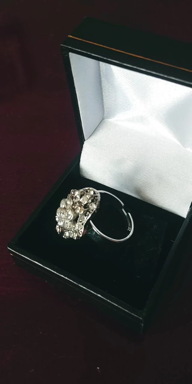 Adjustable Zirconia Ring image indicator(3)