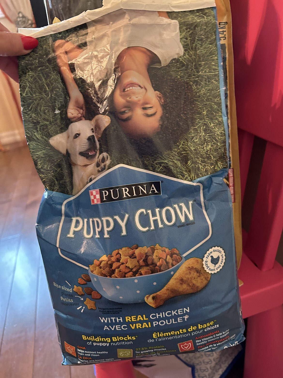 Dog food