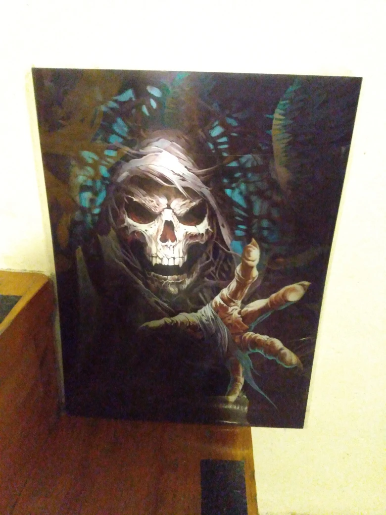 prints, pictures of skulls, skeletons in 3D and 4D