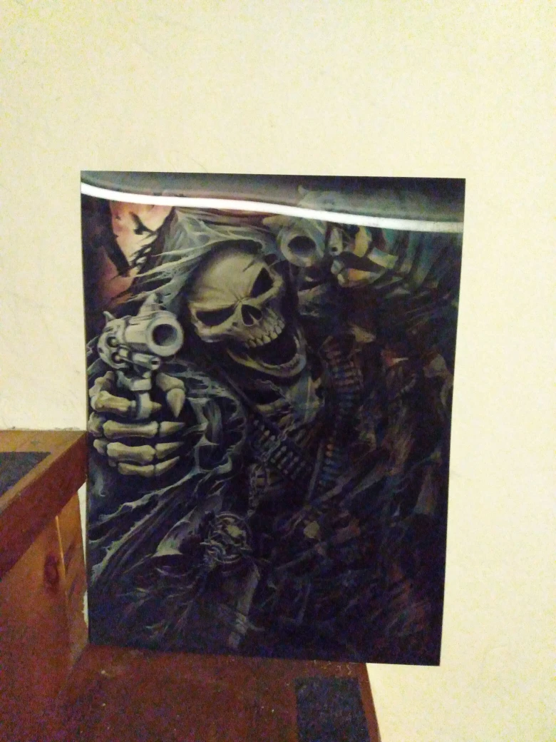 prints, pictures of skulls, skeletons in 3D and 4D image indicator(3)