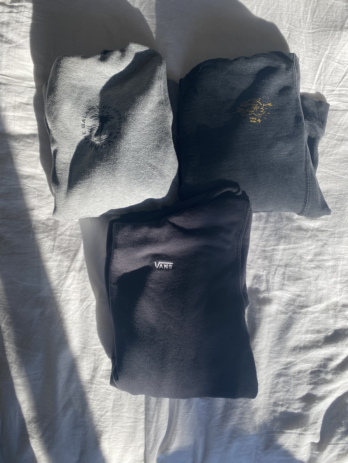Skateboarding Hoodies thumbnail