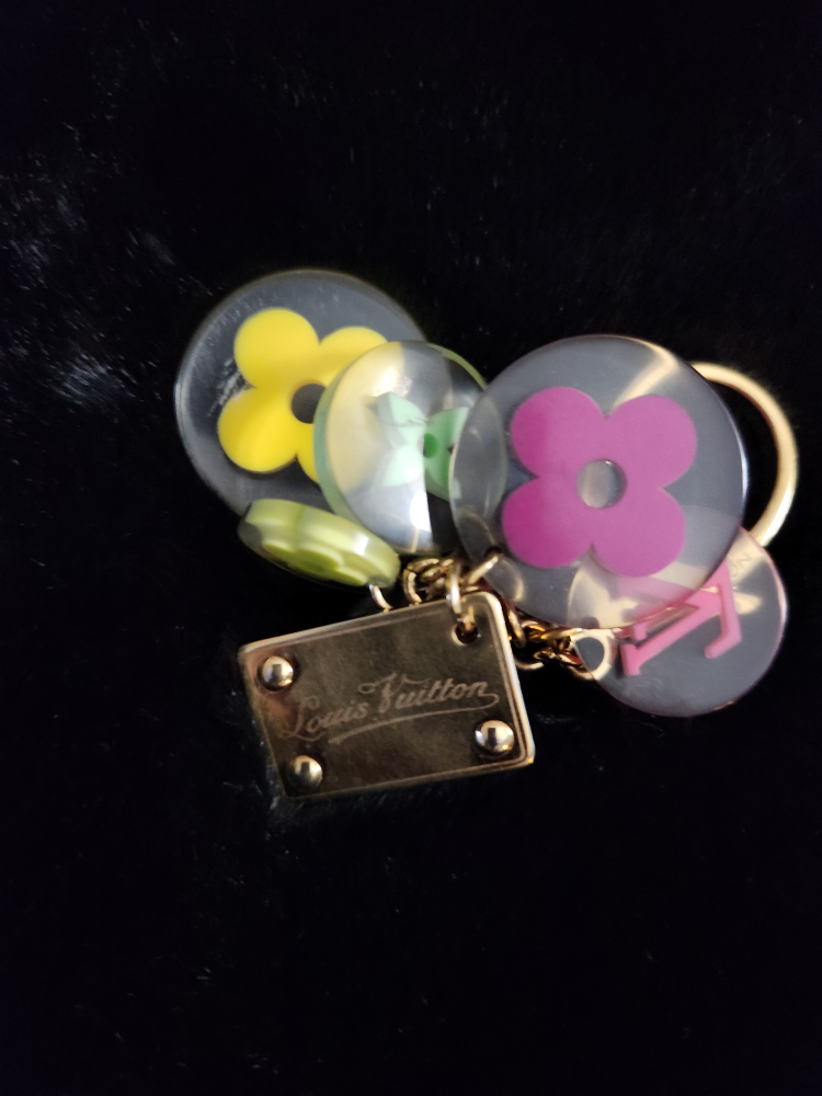 Authentic Louis Vuitton handbag accessory image indicator(2)