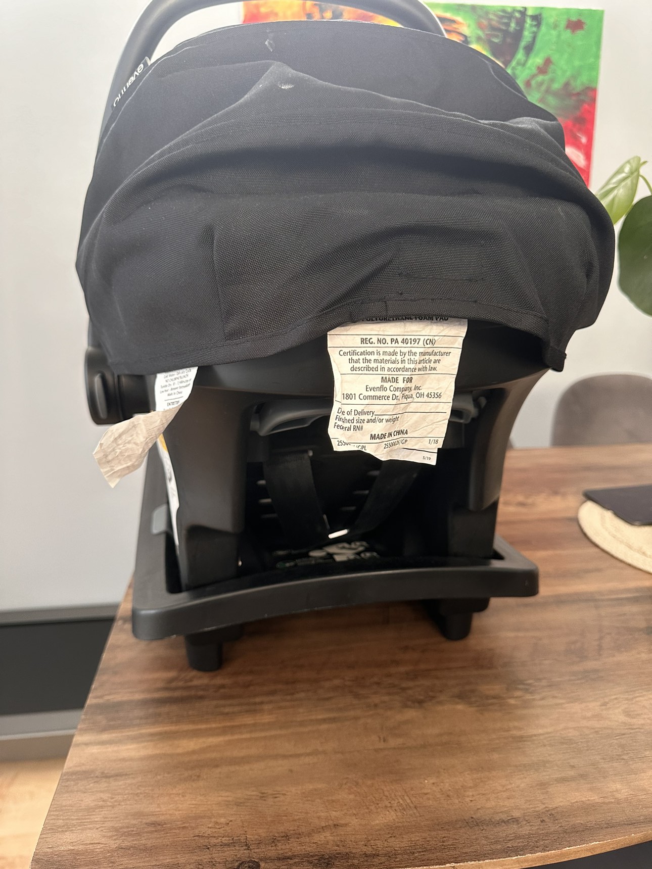 Evenflo infant car seat image indicator(3)