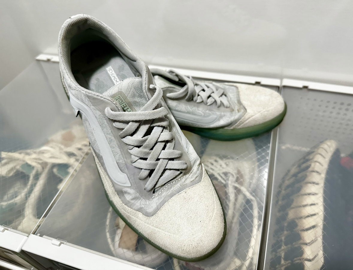 Vans Ave Pro (skateboard shoes)