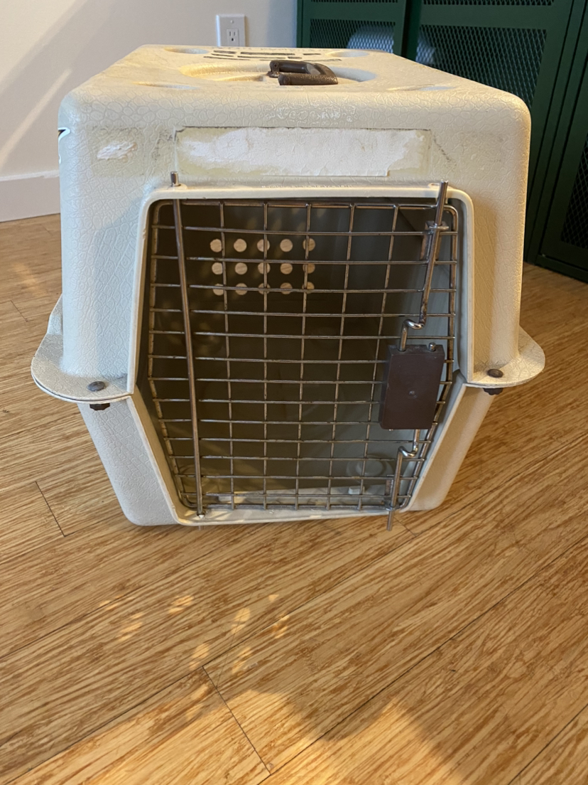 Pet carrier