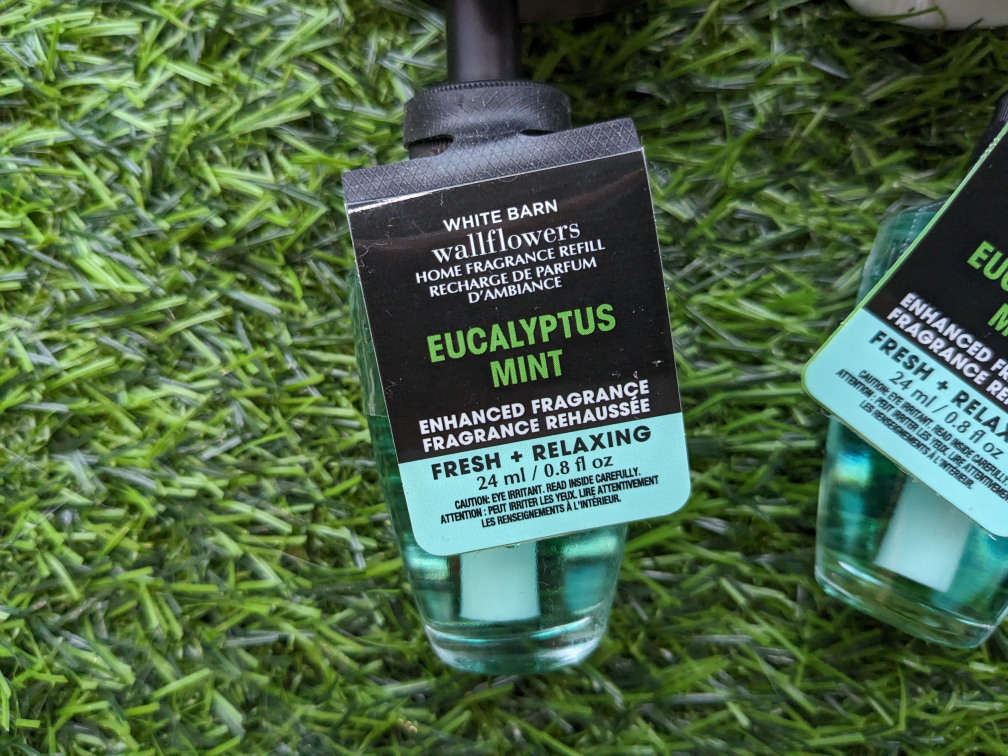 2 eucalyptus mint wallflower scent thumbnail