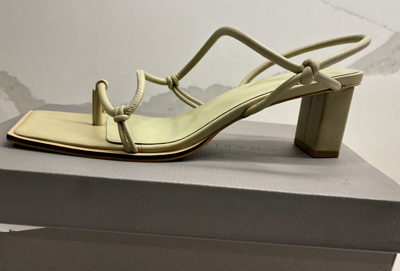 💌 BNIB Never Worn Charles and Keith Sandals , size 41 image indicator(6)
