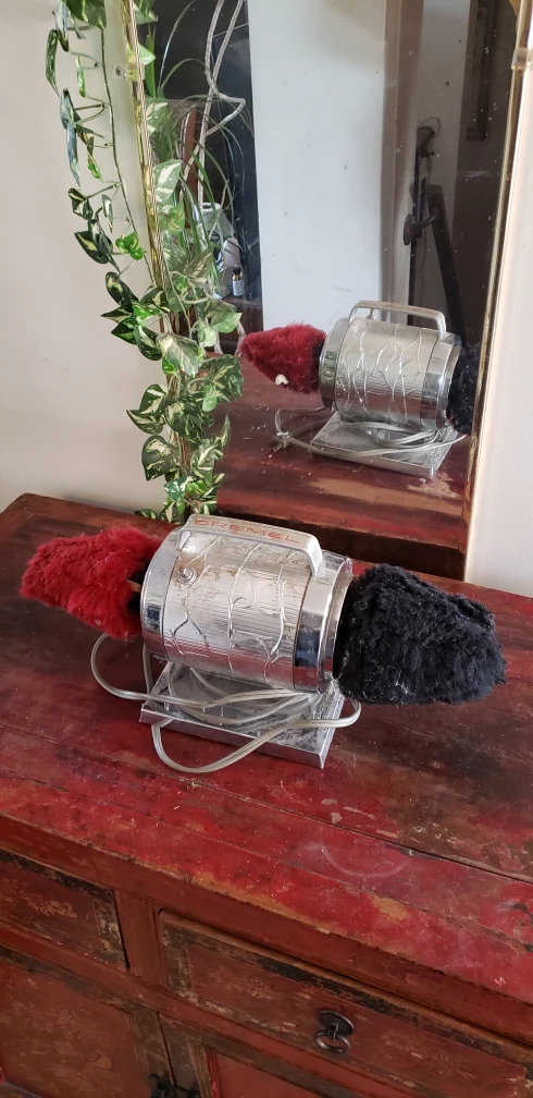 Electric shoe polisher