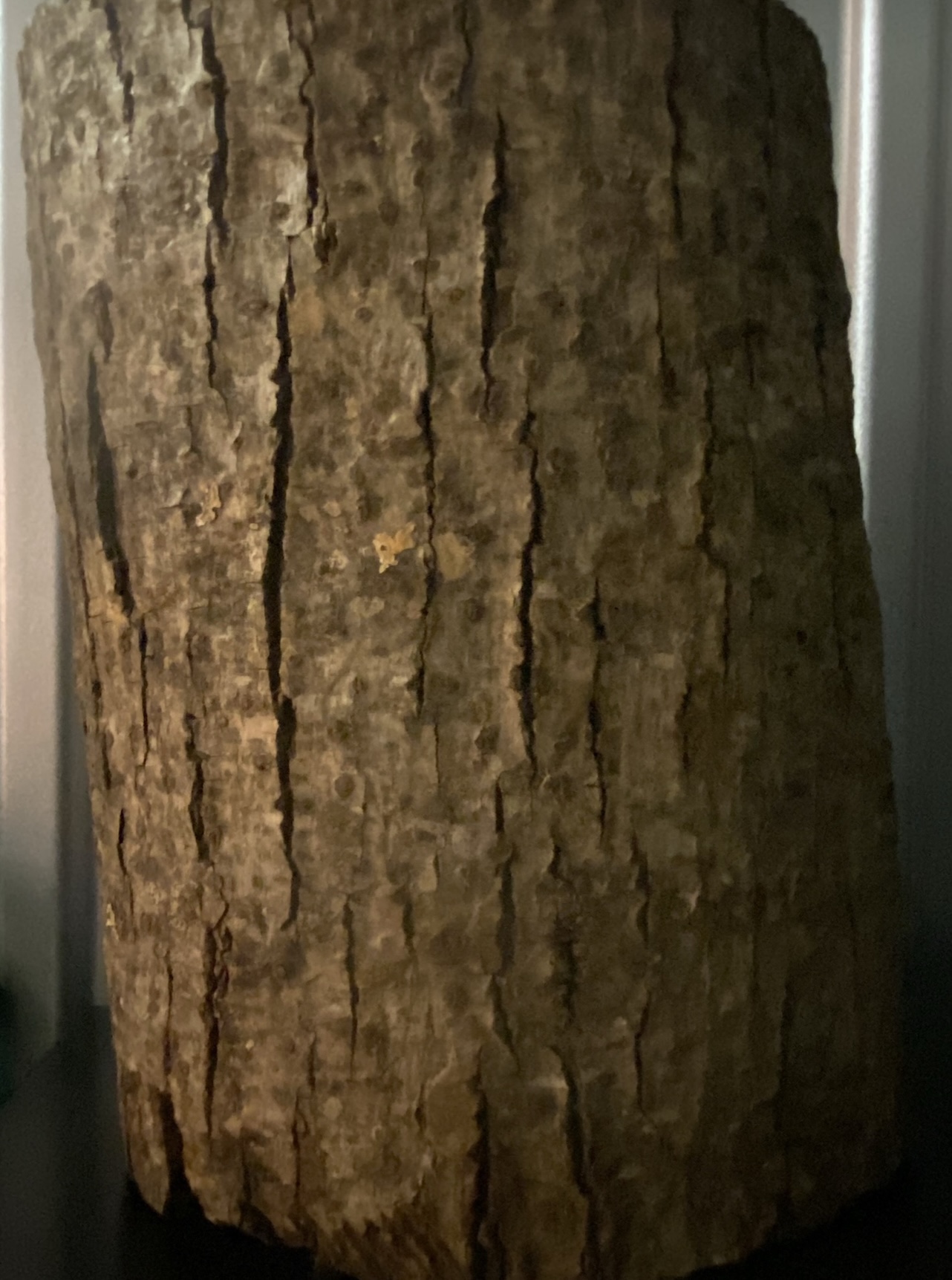 100% Beautifully Hand Carved in Columbia - photo 2